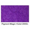 Pigment Metalic Rasini & Lacuri Sintetice Magic Violet 200Gr.